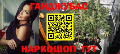 гидра Заводоуковск