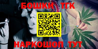 гидра Заводоуковск