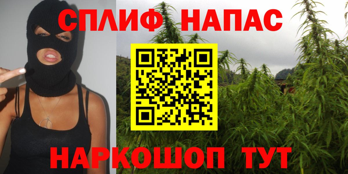 Конопля планчик  Вход с VPN  Мыски  Конопля ГИДРОПОН  Конопля тримм  Конопля THC 21% 